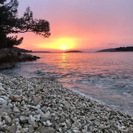 Nature Forever Maslinica